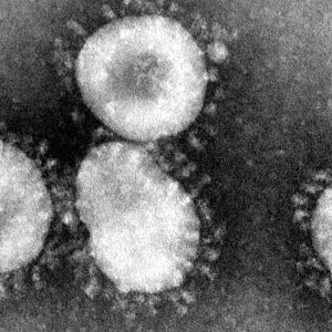 Content Providers(s) Cdc Dr. Fred Murphy