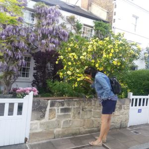 Whatsapp Image 2020 05 12 At 11.15.25