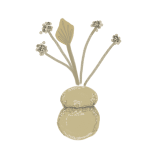 Screen Shot 2020 04 28 At 15.19.02